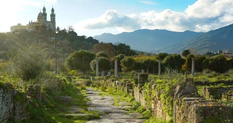 TARDI TI HO AMATO, BELLEZZA TANTO ANTICA E TANTO NUOVA